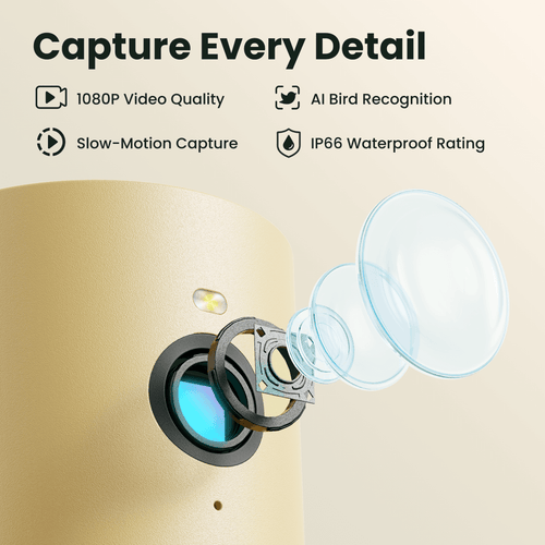 Birdfy Feeder Wood - Wooden Smart Bird Feeder with Camera