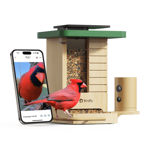 Birdfy Feeder Wood - Wooden Smart Bird Feeder with Camera
