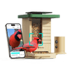 Birdfy Feeder Wood - Wooden Smart Bird Feeder with Camera