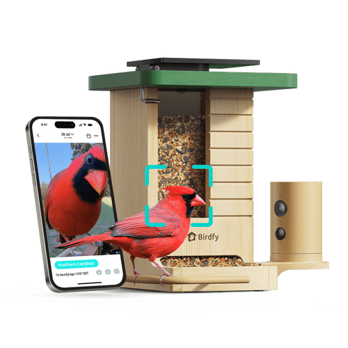 Birdfy Feeder Wood - Wooden Smart Bird Feeder with Camera