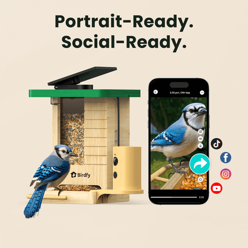 Birdfy Feeder Wood - Wooden Smart Bird Feeder with Camera