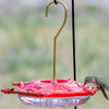AspenPerch® Hummingbird Feeder with Grandview™ Perch, 8 oz.