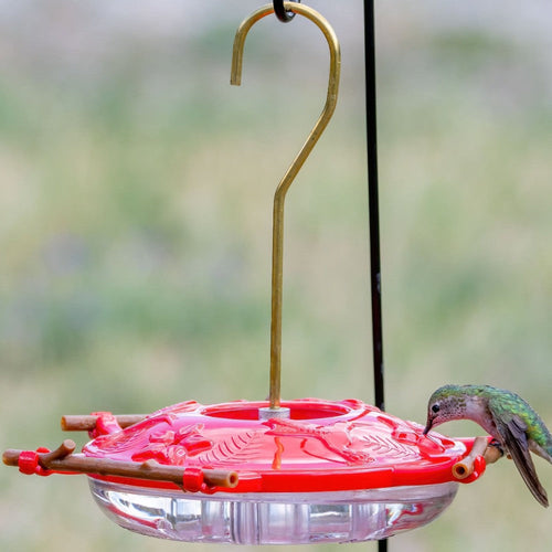 AspenPerch® Hummingbird Feeder with Grandview™ Perch, 8 oz.