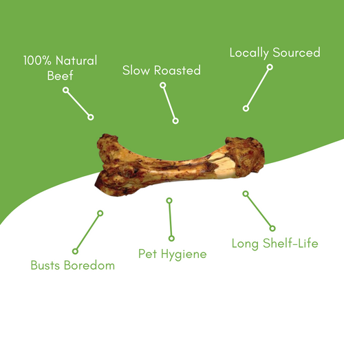 Tibia Beef Bone