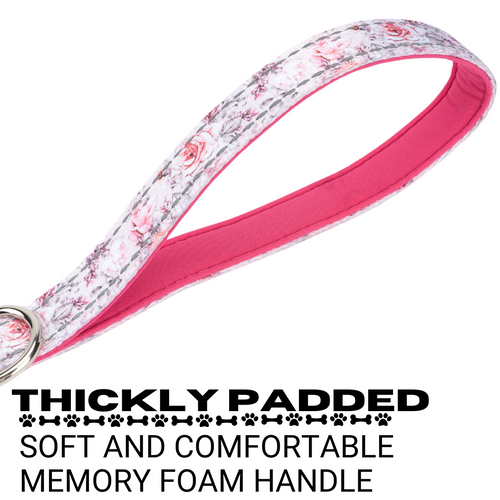 EcoBark Eco-Bright Dog Leashes
