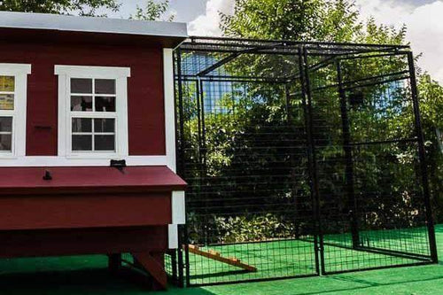 Walk-In 8 ft. Chicken Run (6'6W x 7'6L x 6'3H)