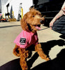Big Dog Tactical Pull-Over Hoodie