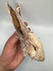 Dehydrated Rabbit Heads