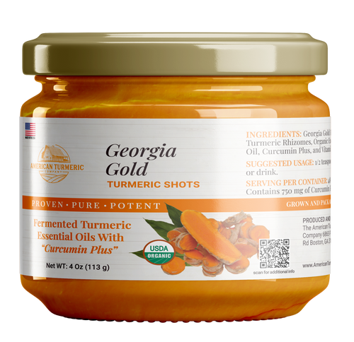 fermented Probiotic Turmeric Puree'