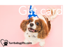 Furr-Baby Gifts - Gift Card