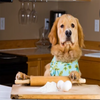 Macarons Organic Dog Treats