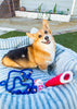 Blue Boho Chic Style Dog Leash - Glow Pups