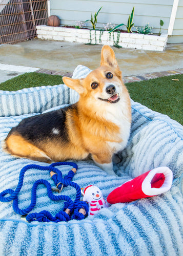 Blue Boho Chic Style Dog Leash - Glow Pups