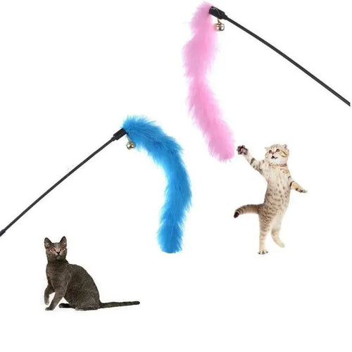 Cat Teaser Toy with Turkey Feather and Bell