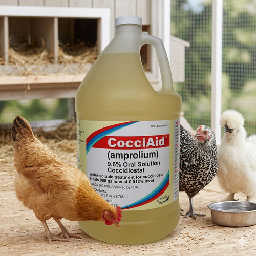 Aurora CocciAid 9.6% Amprolium Liquid Concentrate 1 Gallon Poultry Coccidiosis Treatment
