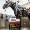 E3 Horse Shampoo 1 Gallon with Nano Vitamins A, C, E & F, Medicated Coat & Skin Care Formula for Horses