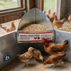 Little Giant Galvanized Hanging Corner Poultry Feeder Space-Saving Chicken Farm 2-Pack
