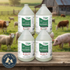 Alligator Brand 70% Isopropyl Rubbing Alcohol 1 Gallon 4-Pack