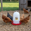 Complete Poultry Health & Hydration Super Bundle – 3 Gallon Drinkers + Vitamins + Oregano + Pick-No-More + VetRx