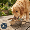 Bergan Stainless Steel Dog Bowl 17 Cup Capacity Durable Wide Base Food & Water Dish