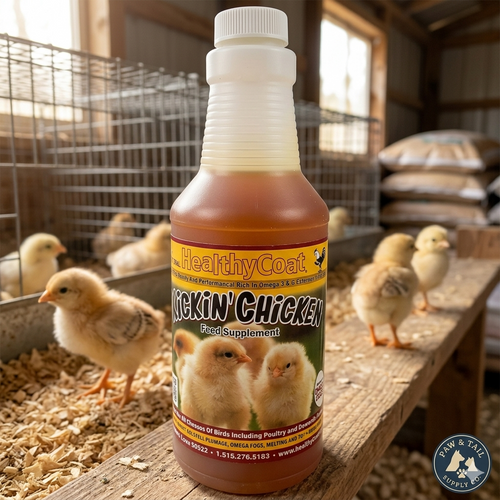 Healthycoat Kickin' Chicken Food Supplement for Poultry Omega Support 16 oz.