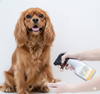 Absorbine Silver Honey Spray Gel Dogs Cats Hot Spot Wound Care Antibiotic-Free 8 oz.