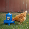 Double-Tuf Poultry Feeder 4 lb Removable Legs Chicken Feeder Carrying Handle