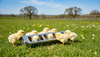 Miller 12 Galvanized Slide Top Poultry Chicken Feeder Metal