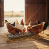 Miller 18 Galvanized Slide Top Poultry Chicken Feeder 9822