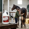 Shapley's Magic Sheen Hair Polish Gallon Horse Shine Detangler Coat Conditioner