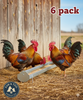 Little Giant Galvanized Chicken Reel-Top Poultry Range Feeder 48 6-Pack