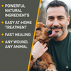 Absorbine Silver Honey Dog Hot Spot Wound Care Manuka Honey Antibiotic-Free 2 oz.