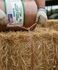 Alligator Brand Orange Polypropylene Baler Twine 9000 ft High Strength Trouble-Free