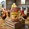 Healthycoat Kickin' Chicken Food Supplement for Poultry Omega Support Gallon