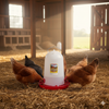 Little Giant 3 Gallon Poultry Drinker Gravity Fed Chicken Waterer Red Base
