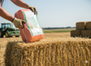 Alligator Brand 20,000 FT Orange Poly Baler Twine Perfect Outdoors Farming