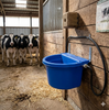 Little Giant Automatic Animal Waterer Blue 4 Gallon Float Controlled Livestock