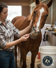 Merial Zimecterin Gold Dewormer Paste Horses 7.35g Treats Tapeworms Bots 1250 lb