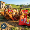 Happy Hen Mealworm Frenzy Poultry Treat Dried Mealworms 10 oz.