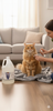 AniMed Witch Hazel Astringent for Animals Gallon, Soothes Skin Irritations