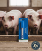 Ideal Veterinary Digital Thermometer Mercury Free w/ Case Livestock Horses Dogs