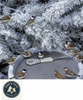 API Bucket & Bird Bath De-Icer 200W Safe Thermostat Water Heater Outdoors