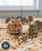 Hamster & Gerbil Bundle Sunburst Higgins Food + Lixit Bottle + Ware Salt Rope Trio Pack
