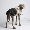 Evercrest Coat