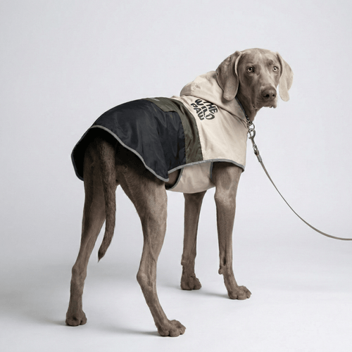 Evercrest Coat