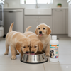 Dog Deworming & Flea Care Bundle WormEze 8oz + Adams Flea & Tick Shampoo 12oz + Chicken Rope Toy