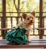 Dog Dress Green Velvet Emerald Pearl