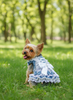 Pet Dress Lace Pearl Dog Outfit Elegant Blue