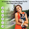 EcoBark Step In Dog Harness - XXXS to Small Breeds- Reflective Soft Mesh Harness for Teacup, Small Dogs and Puppies / Bright Blue Sport