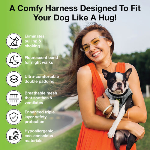 EcoBark Step In Dog Harness - XXXS to Small Breeds- Reflective Soft Mesh Harness for Teacup, Small Dogs and Puppies / Steel Gray